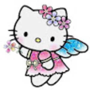 Meet your Posher, Joy